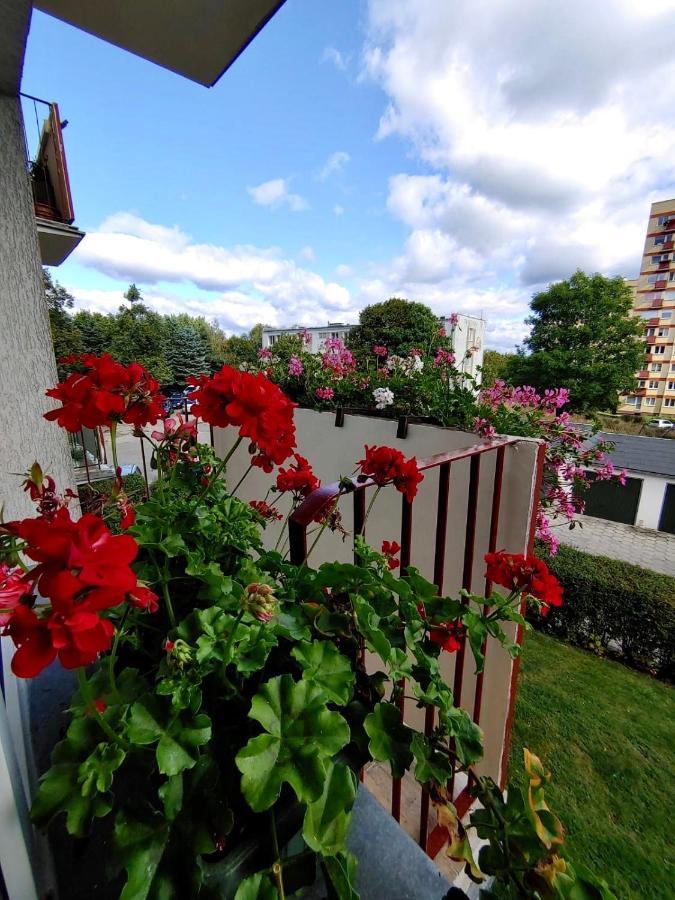 Loft House Sopot Apartament Apartment ภายนอก รูปภาพ
